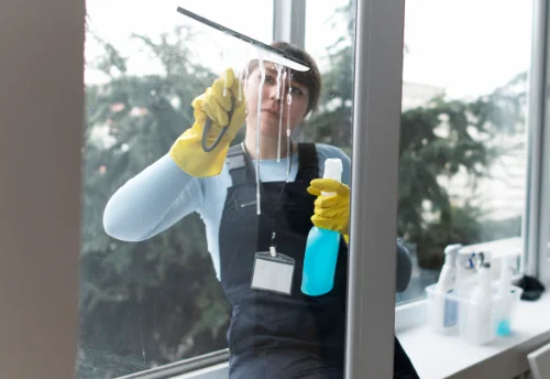 Nettoyage de vitres intérieures et extérieures à Geville